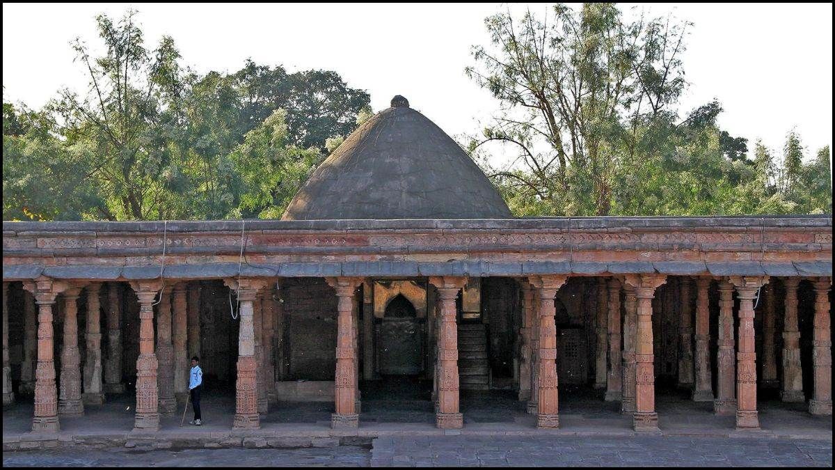 naidunia_image